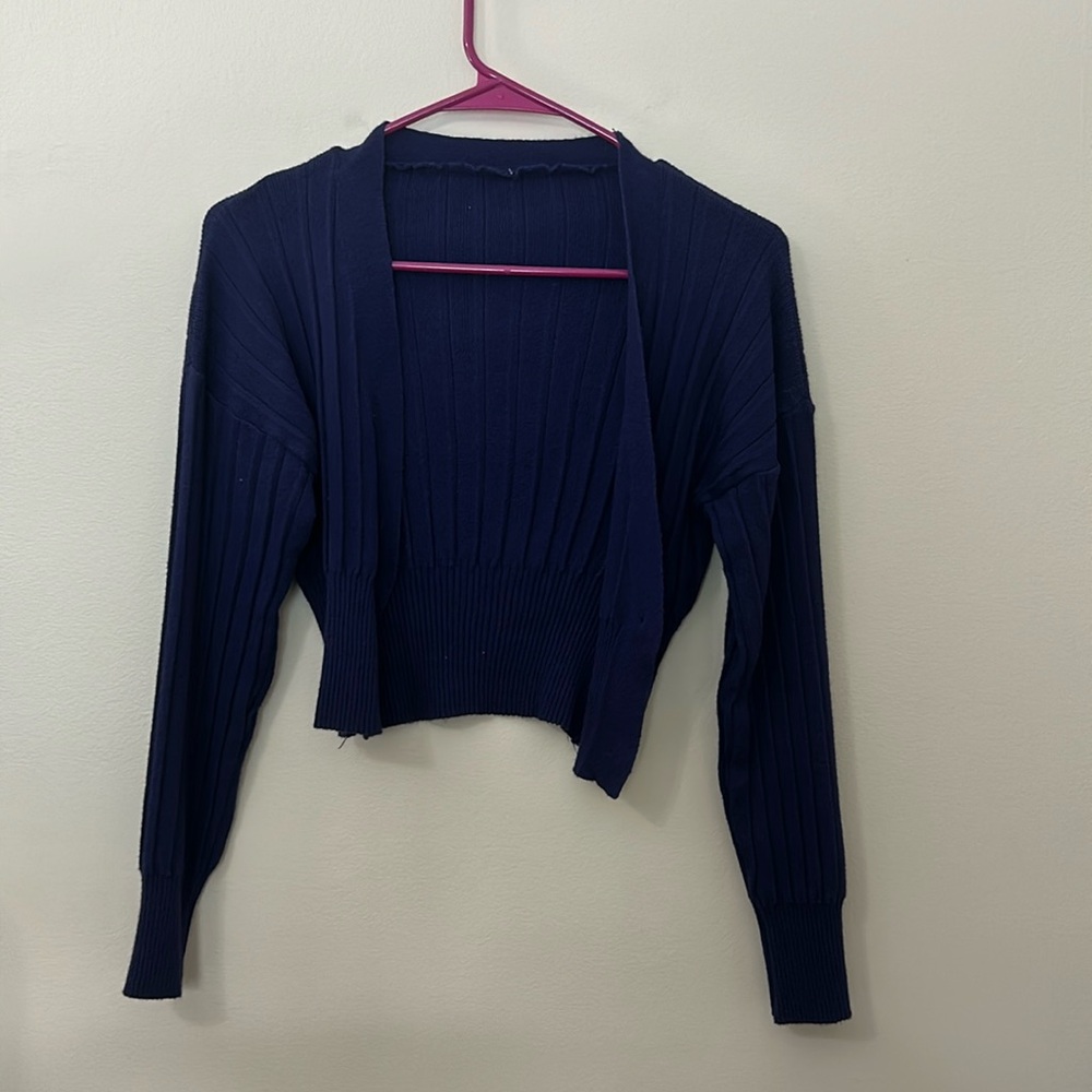Blue Cardigan